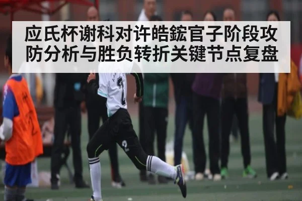 应氏杯谢科对许皓鋐官子阶段攻防分析与胜负转折关键节点复盘